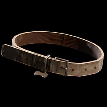 Dog Collar