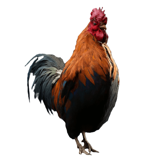 Otpadnik